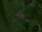 恥ずかしい…。