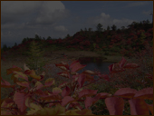 武具脱（もののぐ）の池