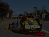 冬を待っている