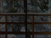 客室からの眺め